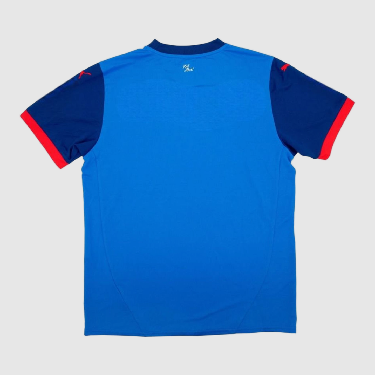 Home 24/25 Men's Shirt - Match Day