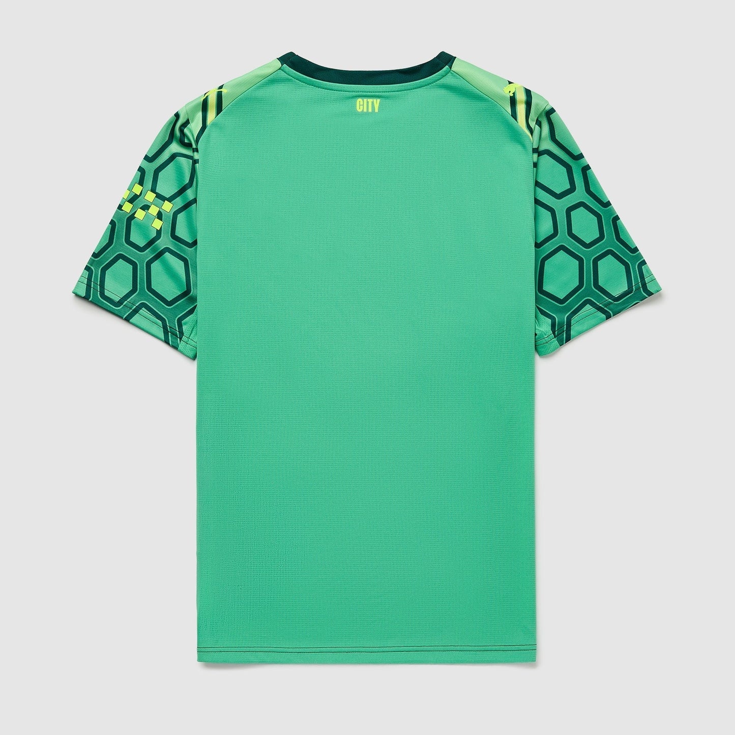 Goalkeeper 26/27 Shirt - Match Day