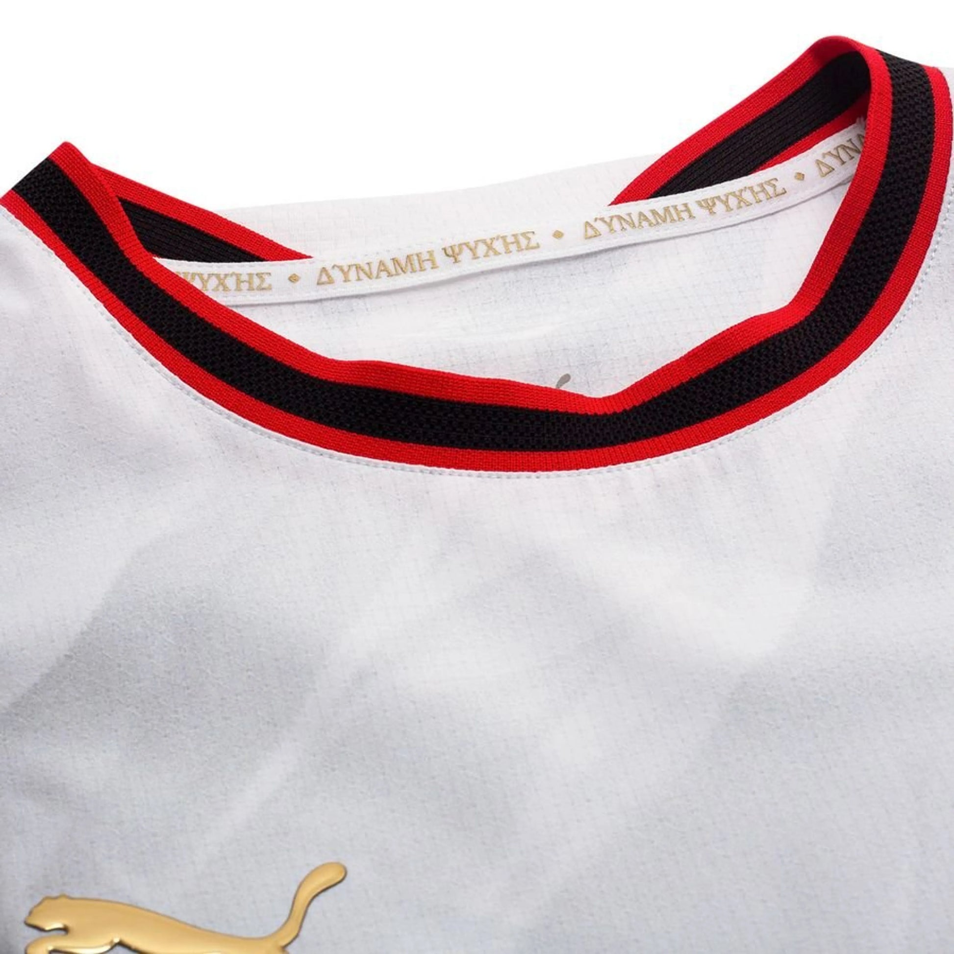 Away 26/27 Player Edition Long Sleeve Shirt - Match Day
